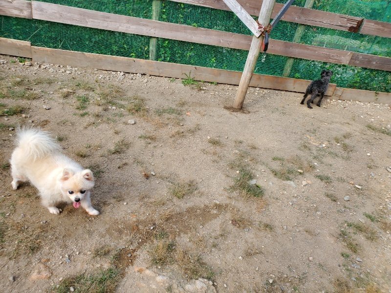 f:id:roukenhome-ann:20191003145051j:plain