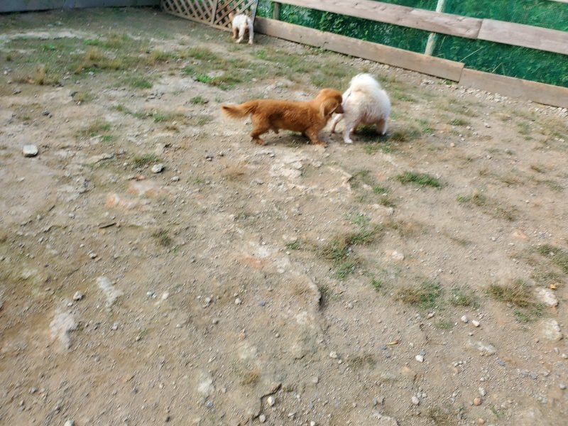 f:id:roukenhome-ann:20191003145056j:plain