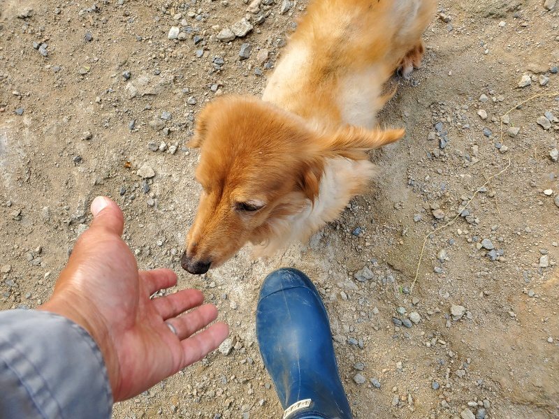f:id:roukenhome-ann:20191003145102j:plain