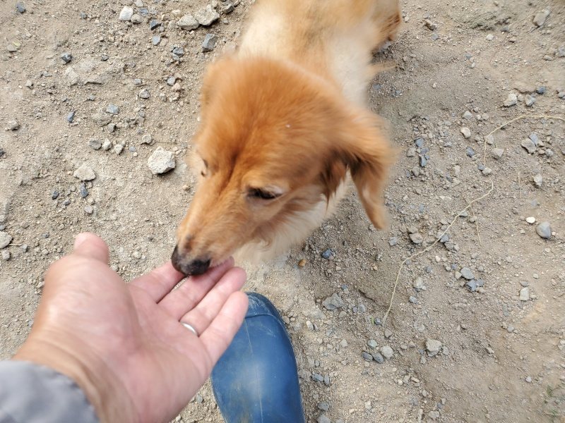 f:id:roukenhome-ann:20191003145113j:plain
