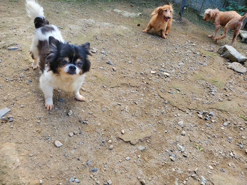 f:id:roukenhome-ann:20191003145149j:plain