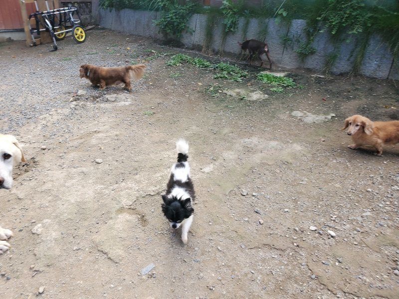 f:id:roukenhome-ann:20191003145156j:plain