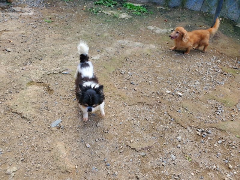 f:id:roukenhome-ann:20191003145203j:plain