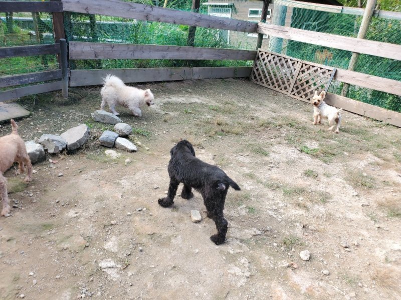 f:id:roukenhome-ann:20191003145210j:plain