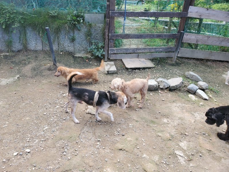 f:id:roukenhome-ann:20191003145215j:plain