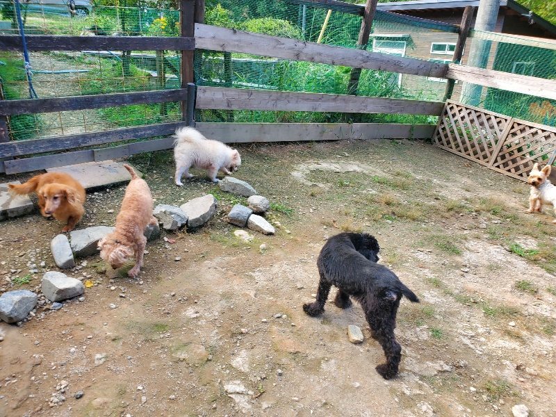f:id:roukenhome-ann:20191003145221j:plain