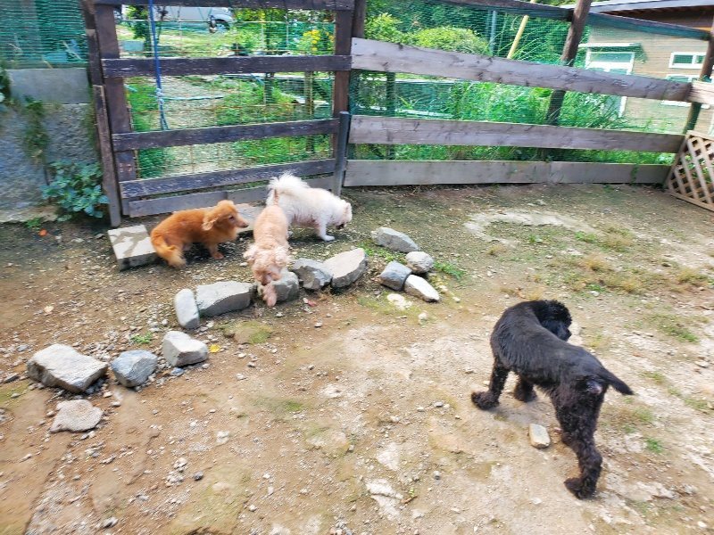 f:id:roukenhome-ann:20191003145226j:plain