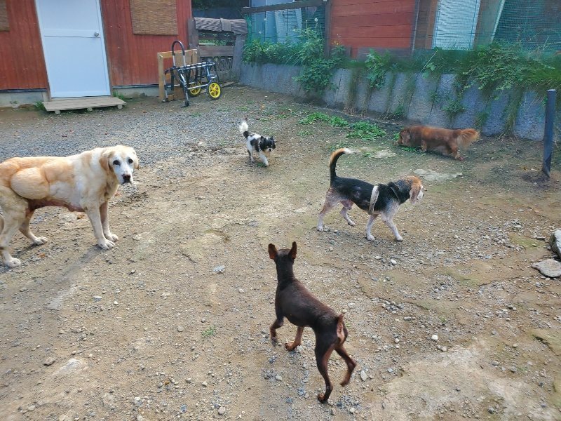 f:id:roukenhome-ann:20191003145231j:plain
