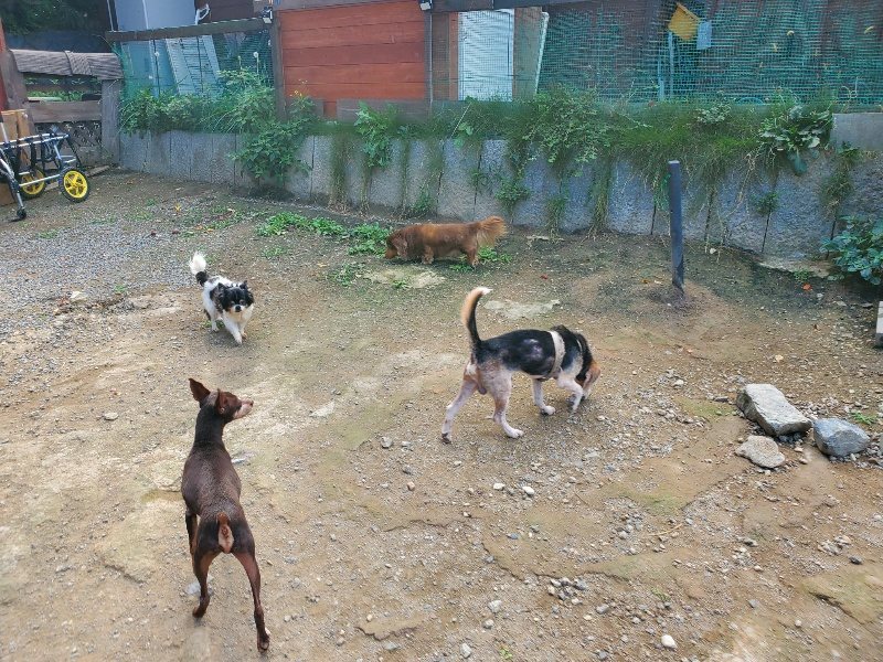 f:id:roukenhome-ann:20191003145238j:plain
