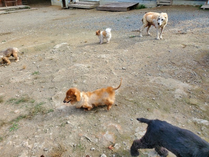 f:id:roukenhome-ann:20191003145243j:plain