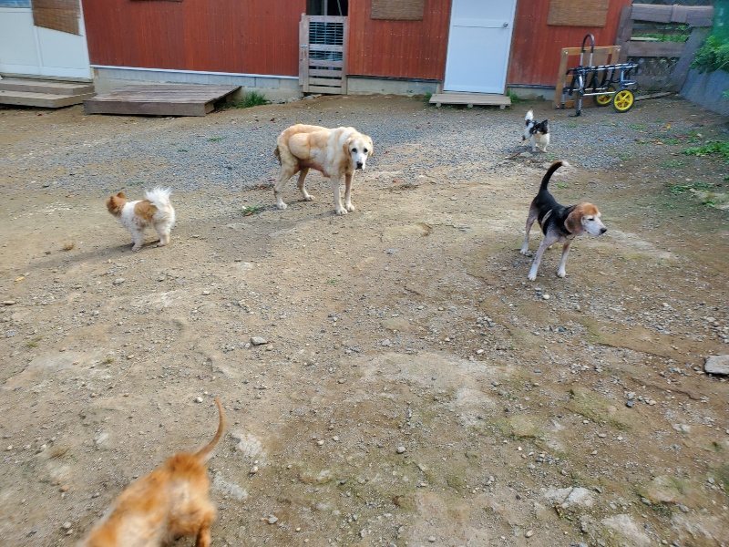 f:id:roukenhome-ann:20191003145250j:plain