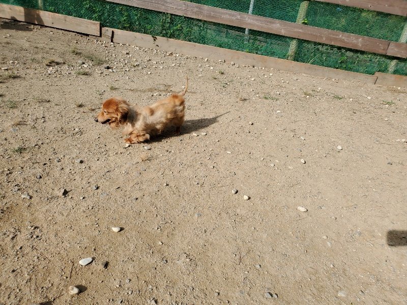 f:id:roukenhome-ann:20191003145338j:plain