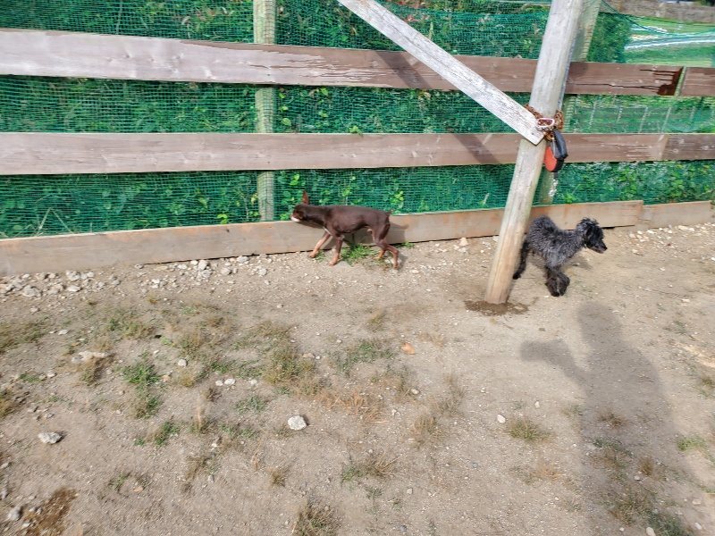 f:id:roukenhome-ann:20191003145419j:plain