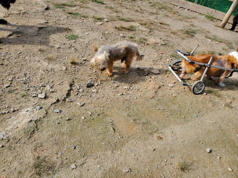 f:id:roukenhome-ann:20191003145442j:plain