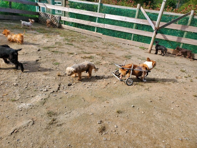 f:id:roukenhome-ann:20191003145448j:plain