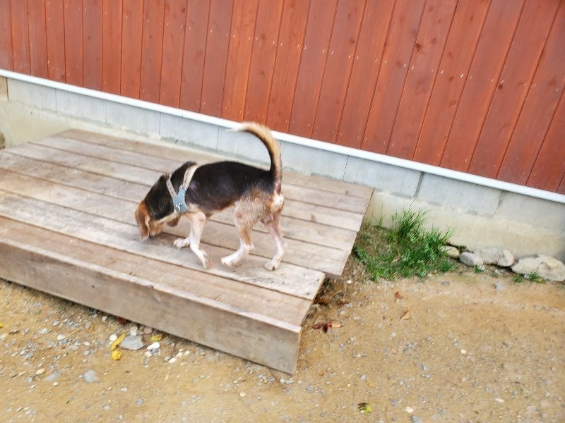 f:id:roukenhome-ann:20191003145503j:plain