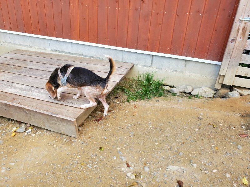 f:id:roukenhome-ann:20191003145509j:plain