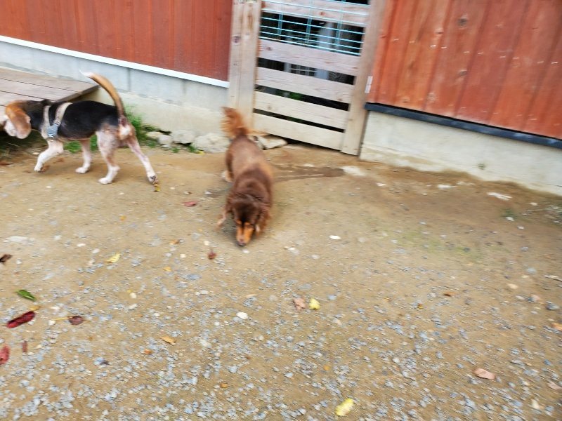 f:id:roukenhome-ann:20191003145514j:plain