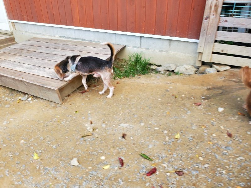 f:id:roukenhome-ann:20191003145518j:plain