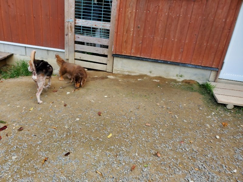 f:id:roukenhome-ann:20191003145529j:plain
