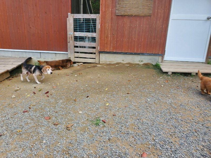 f:id:roukenhome-ann:20191003145534j:plain