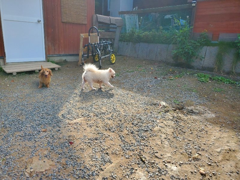 f:id:roukenhome-ann:20191003145545j:plain