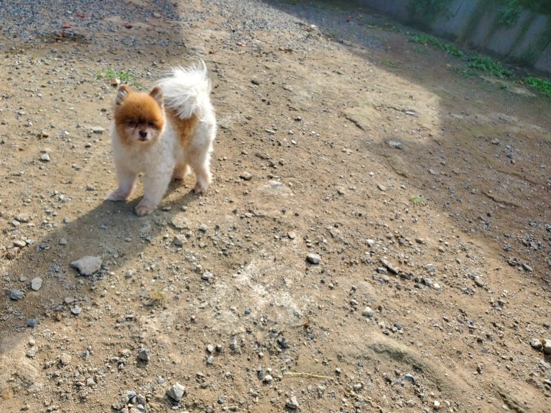 f:id:roukenhome-ann:20191003145619j:plain