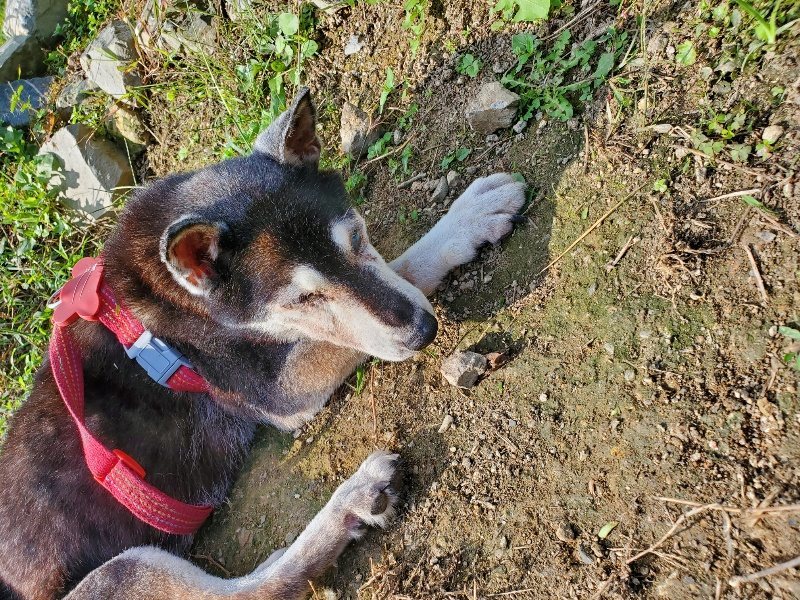 f:id:roukenhome-ann:20191003150201j:plain