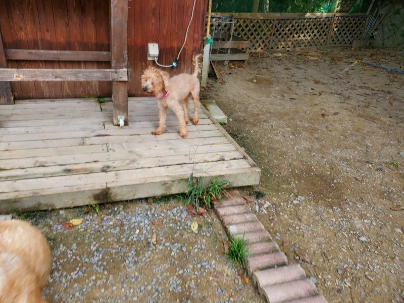 f:id:roukenhome-ann:20191003150225j:plain