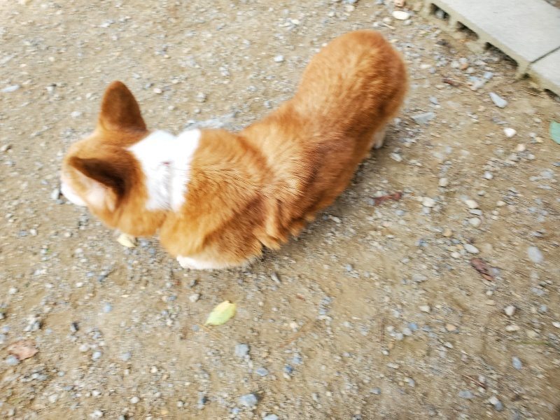 f:id:roukenhome-ann:20191003150241j:plain