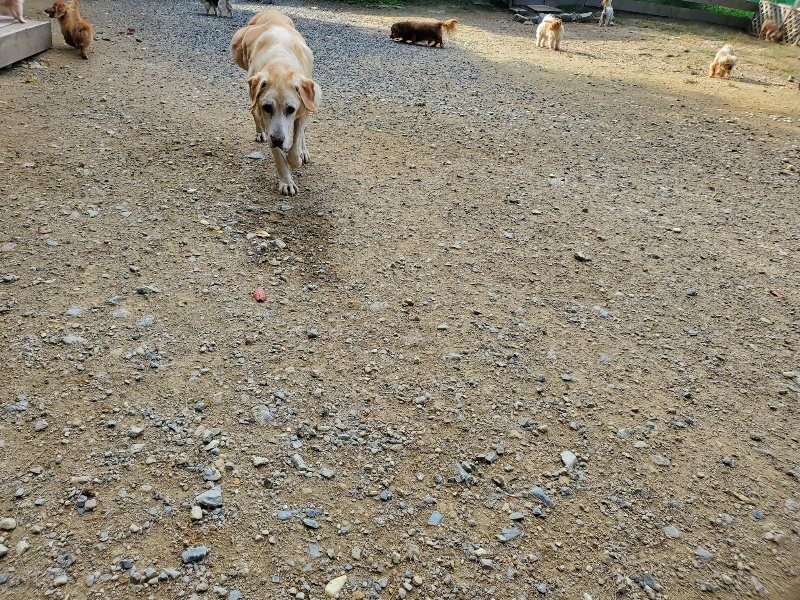 f:id:roukenhome-ann:20191003150305j:plain