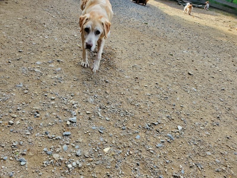 f:id:roukenhome-ann:20191003150310j:plain