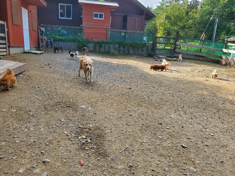 f:id:roukenhome-ann:20191003150316j:plain
