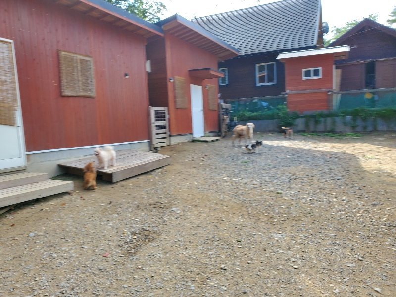 f:id:roukenhome-ann:20191003150322j:plain