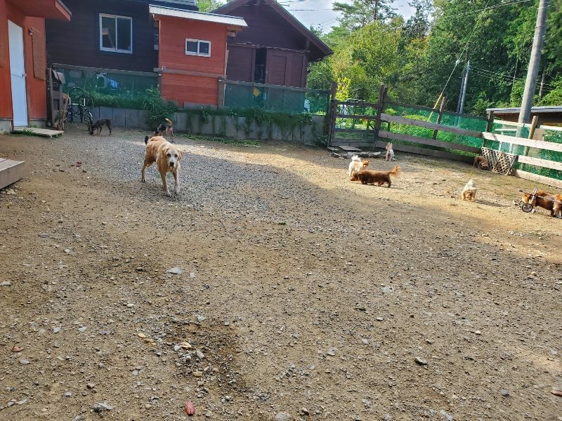 f:id:roukenhome-ann:20191003150327j:plain