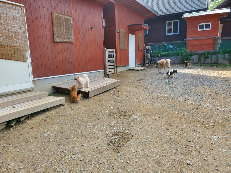 f:id:roukenhome-ann:20191003150333j:plain