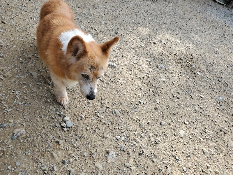 f:id:roukenhome-ann:20191003150339j:plain