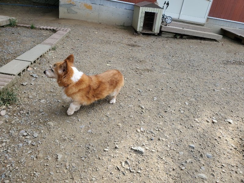 f:id:roukenhome-ann:20191003150358j:plain