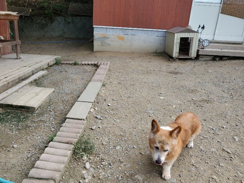 f:id:roukenhome-ann:20191003150403j:plain