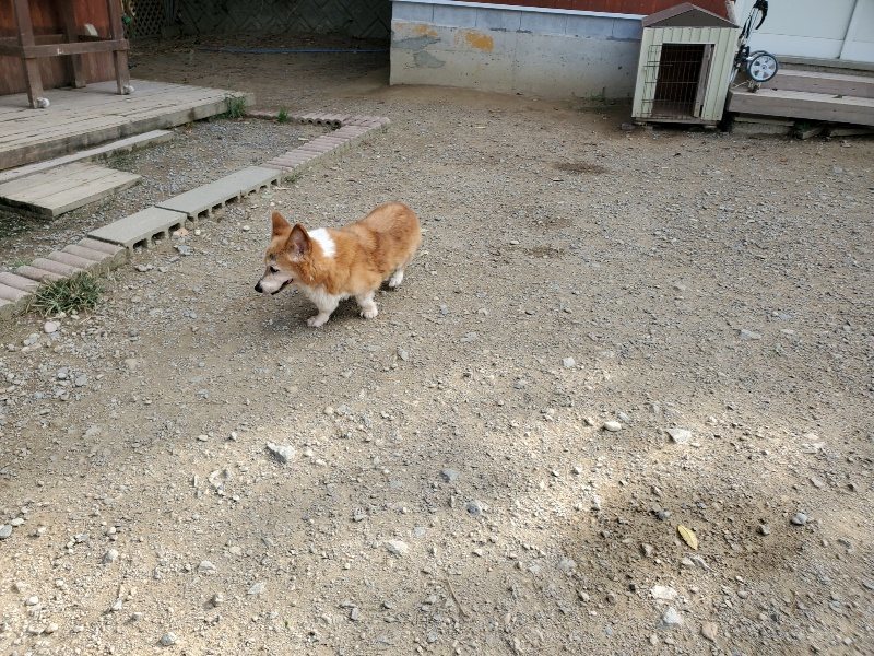 f:id:roukenhome-ann:20191003150416j:plain