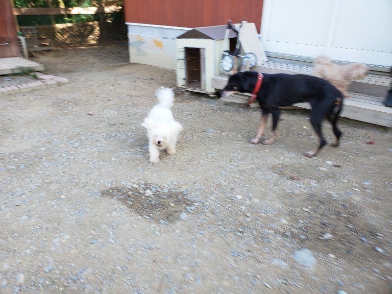 f:id:roukenhome-ann:20191003151131j:plain
