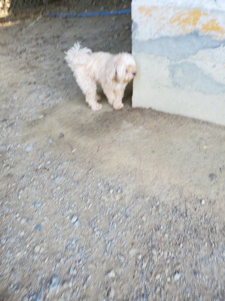 f:id:roukenhome-ann:20191003151239j:plain