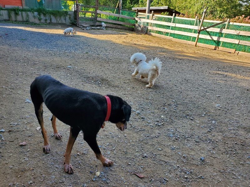 f:id:roukenhome-ann:20191003151246j:plain