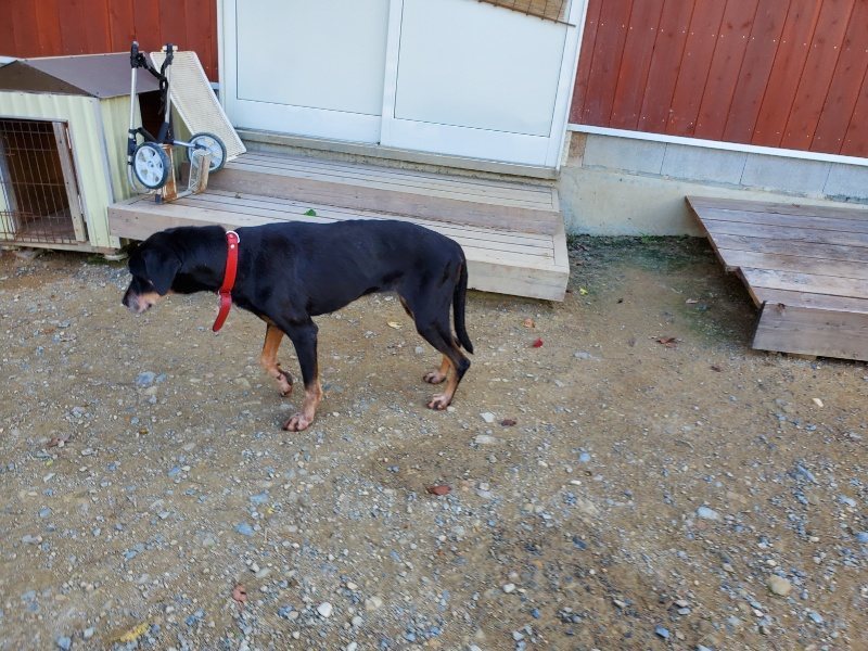 f:id:roukenhome-ann:20191003151314j:plain