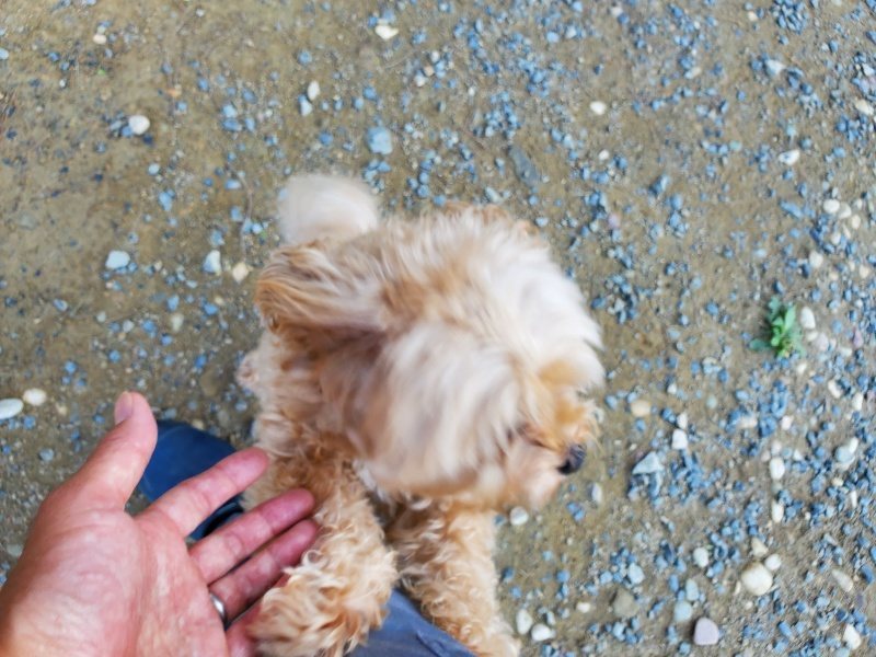 f:id:roukenhome-ann:20191003151328j:plain