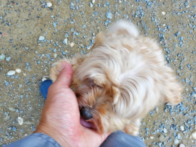 f:id:roukenhome-ann:20191003151332j:plain