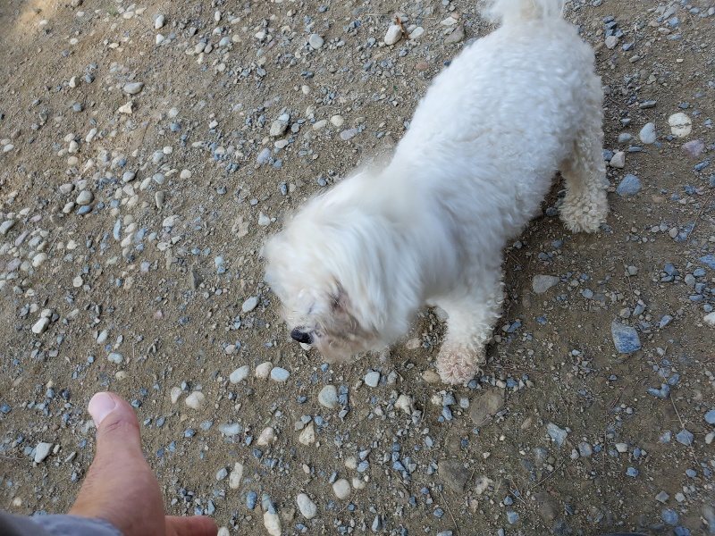 f:id:roukenhome-ann:20191003151343j:plain
