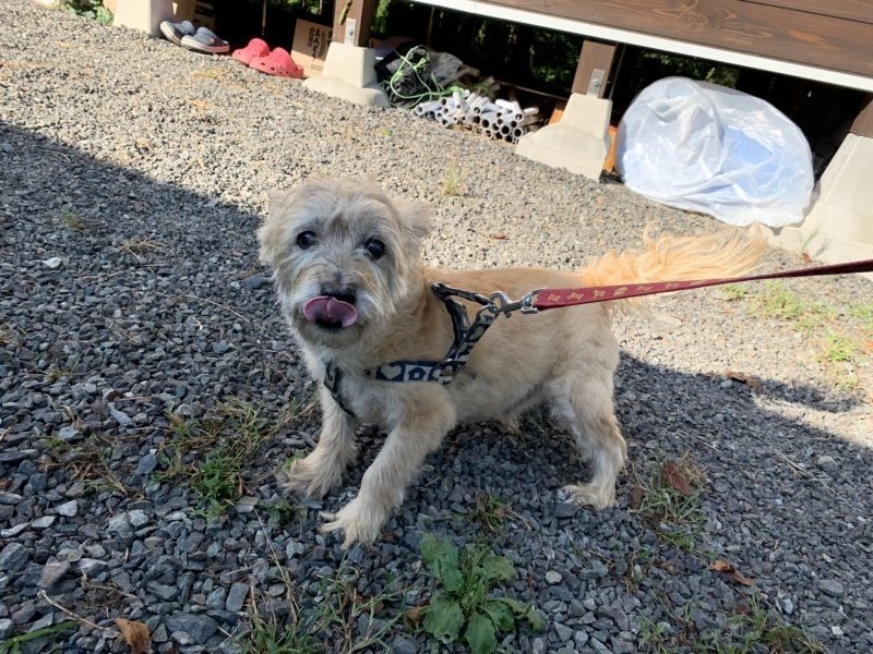 f:id:roukenhome-ann:20191003152853j:plain