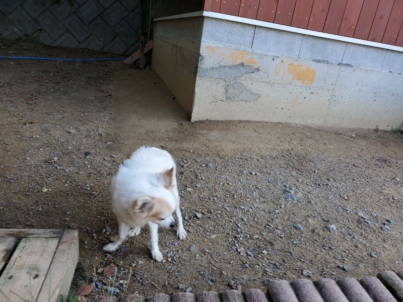 f:id:roukenhome-ann:20191003152858j:plain