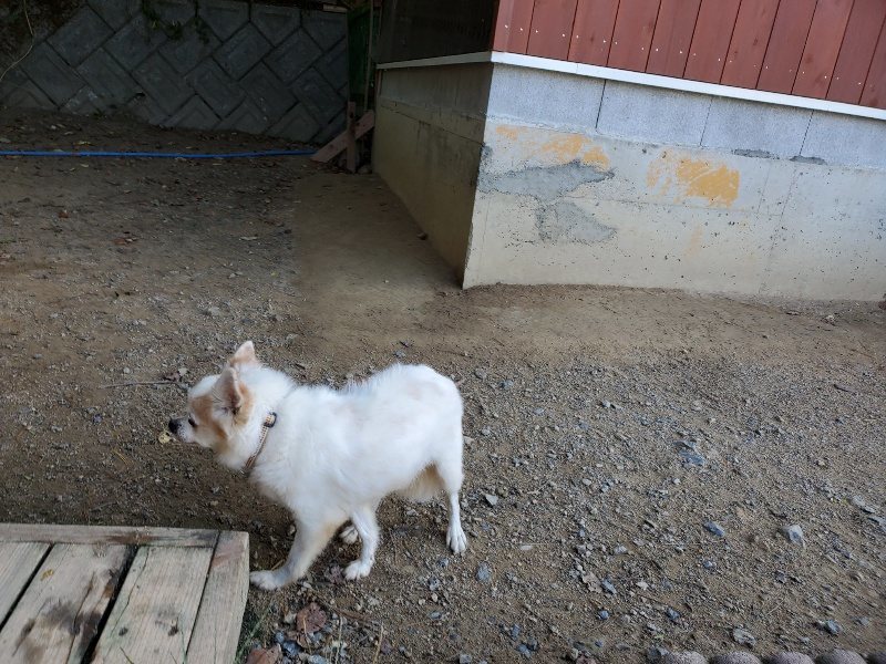 f:id:roukenhome-ann:20191003152903j:plain